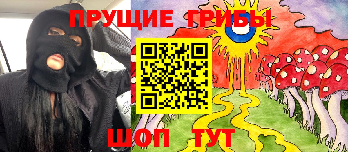 Галлюциногенные грибы GOLDEN TEACHER  Псилоцибиновые грибы GOLDEN TEACHER  закладки  Ростов-на-Дону  Вход с VPN 