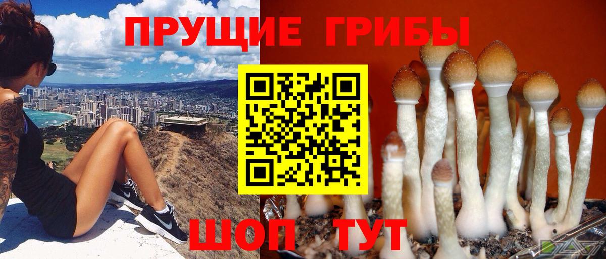 Галлюциногенные грибы Magic Shrooms Ростов-на-Дону